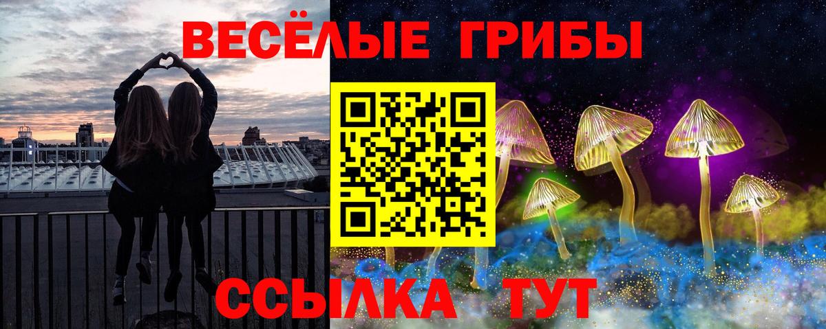 Псилоцибиновые грибы Psilocybine cubensis Саяногорск